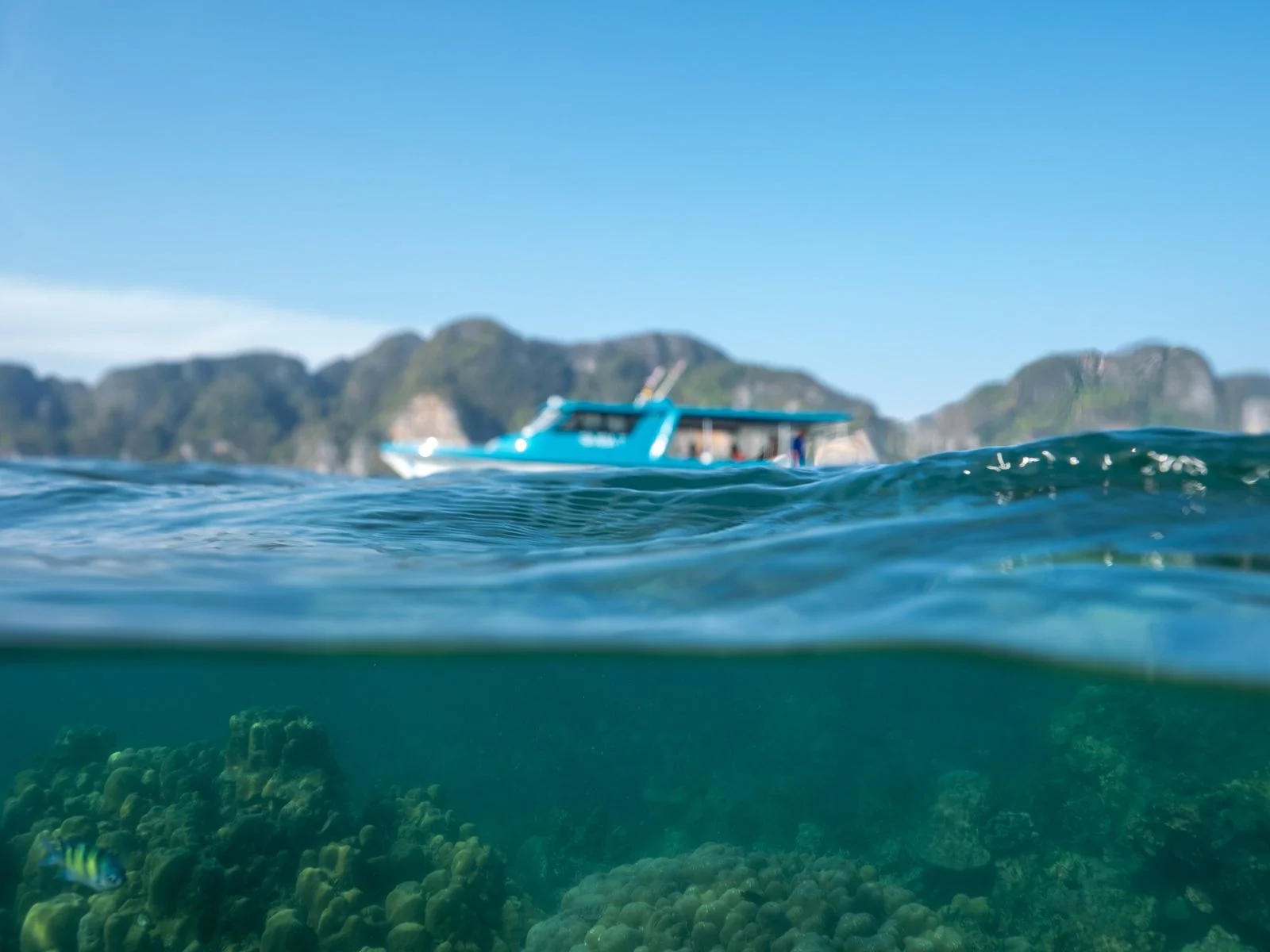 Phi Phi Islands, Gently